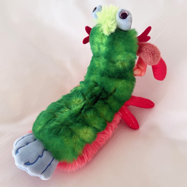 PUNCHIE the MANTIS SHRIMP - DOUGLAS PLUSH TOY - Image 3