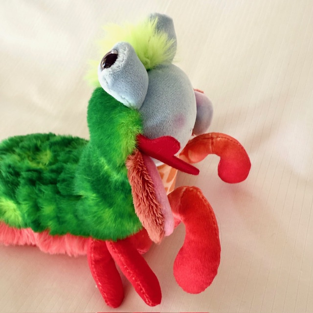 PUNCHIE the MANTIS SHRIMP - DOUGLAS PLUSH TOY - Image 2